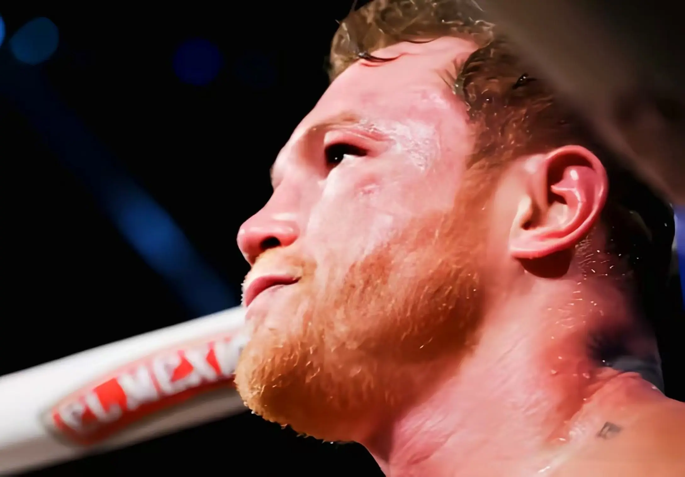 img, div, 战已经结束