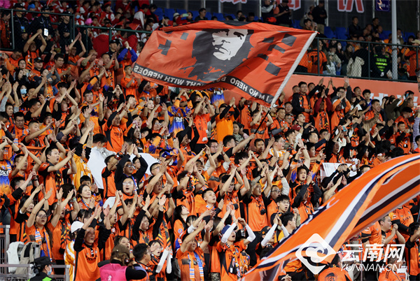 年上半年 年上半年